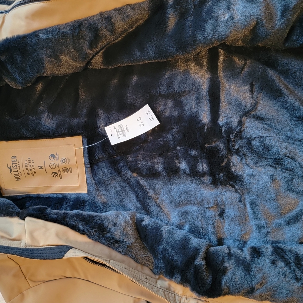 Hollister Coat